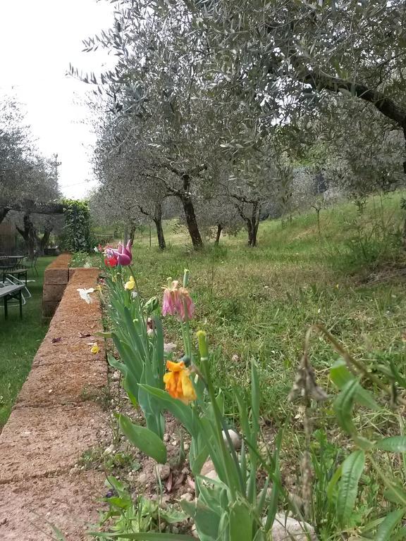 Agriturismo Camparella Pastrengo Kültér fotó