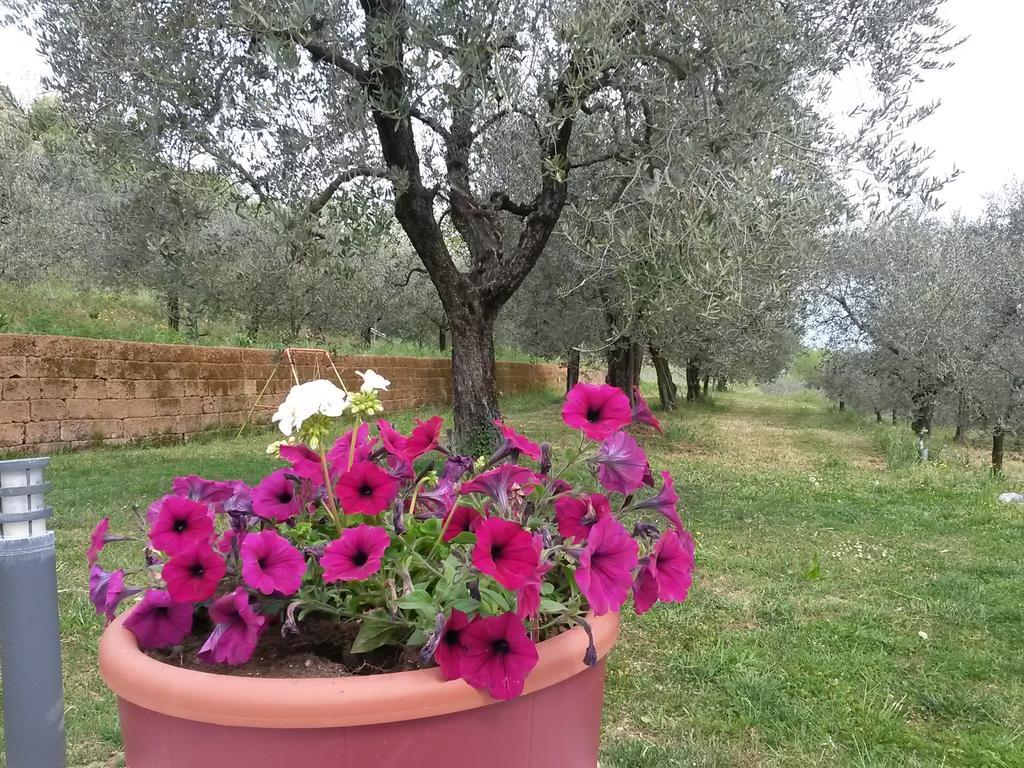 Agriturismo Camparella Pastrengo Kültér fotó