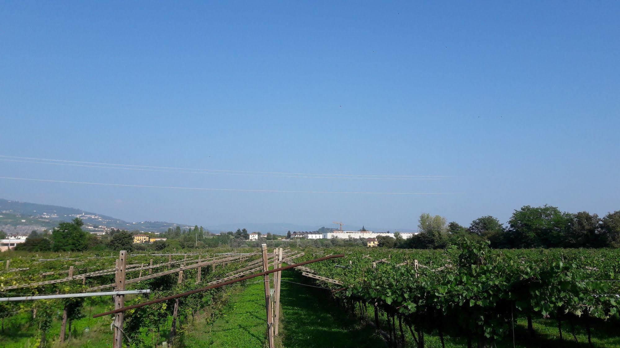 Agriturismo Camparella Pastrengo Kültér fotó